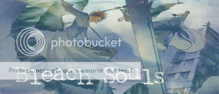 Bleach Souls