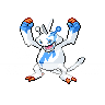 ElectabuzzasZangoose_zpsdf66f075.png