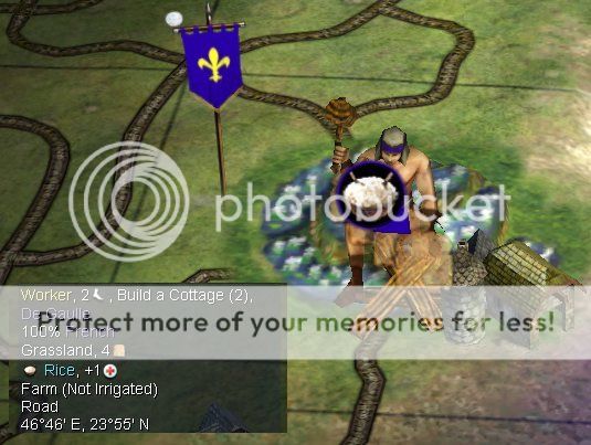 AI%20cottaging%20farmed%20rice.jpg~original