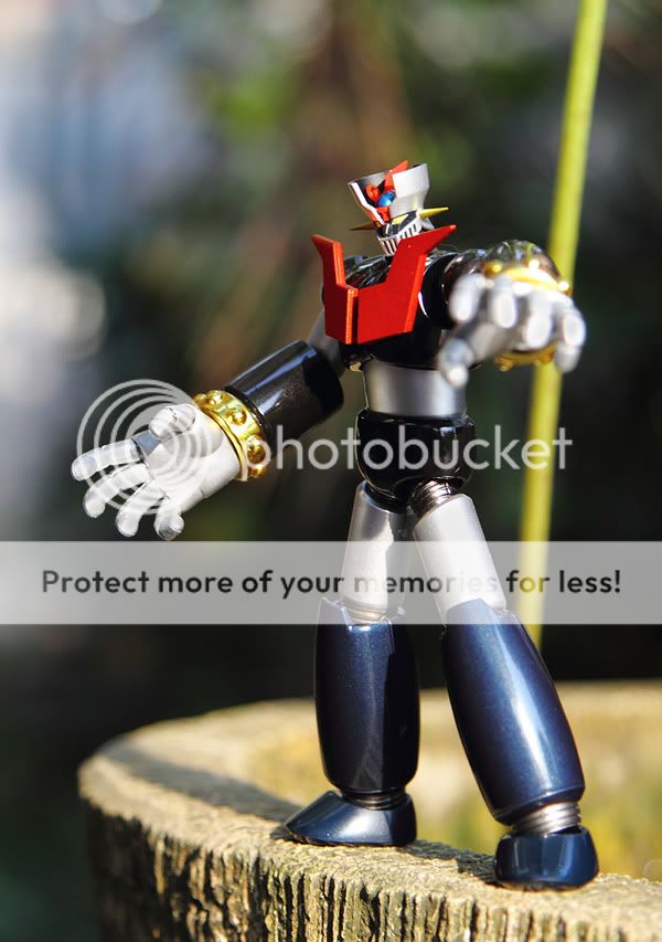 IMAGE: http://i898.photobucket.com/albums/ac183/tiffanysungkono/IMG_9990.jpg