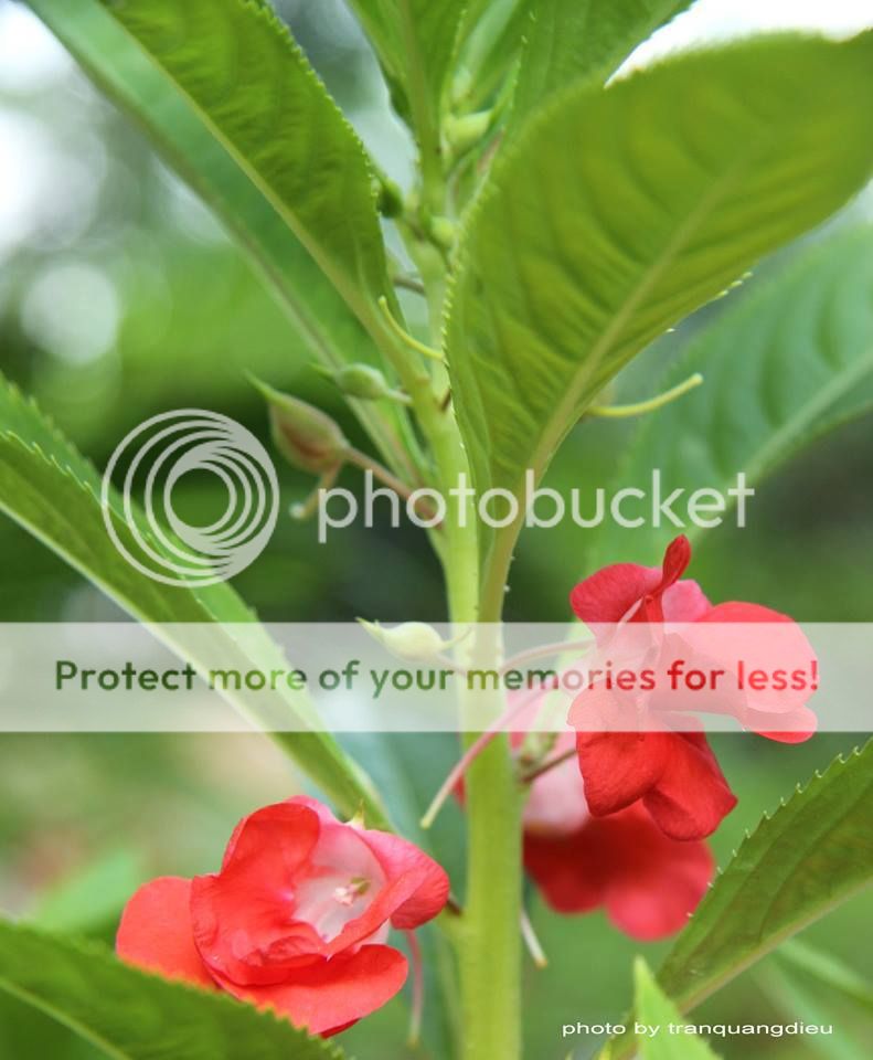 UserPostedImage