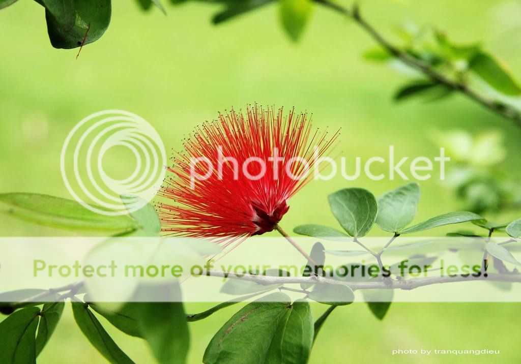 UserPostedImage