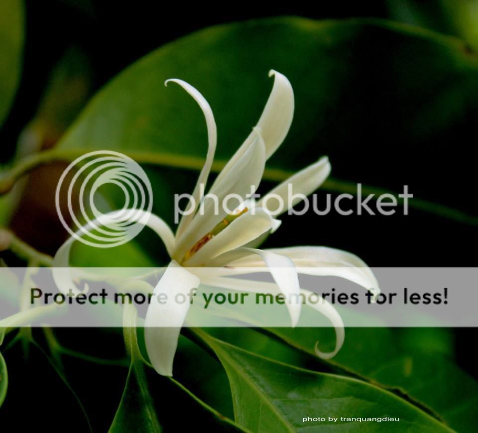 UserPostedImage