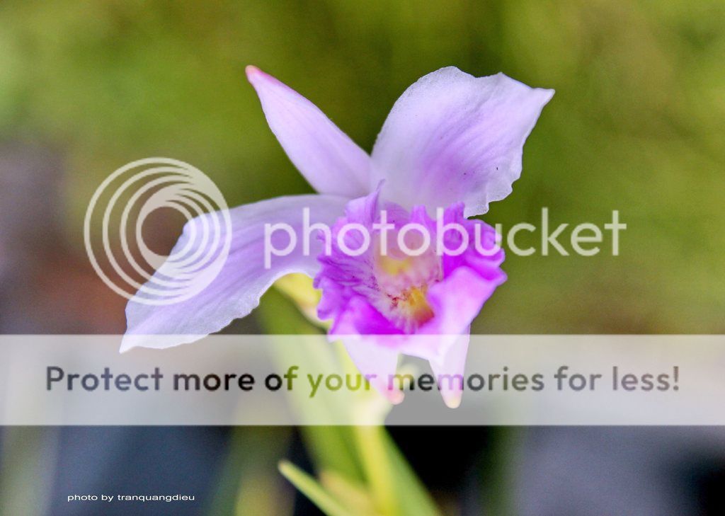 UserPostedImage