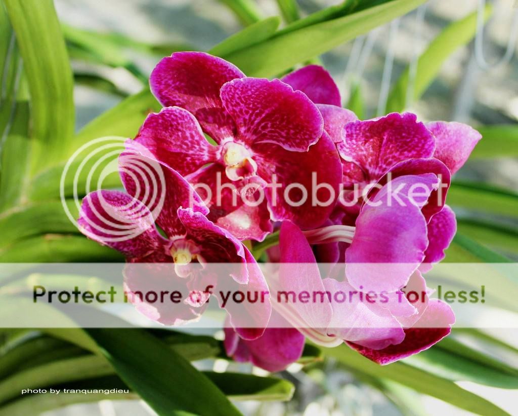 UserPostedImage