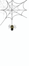 gif-pict-spider-27.gif