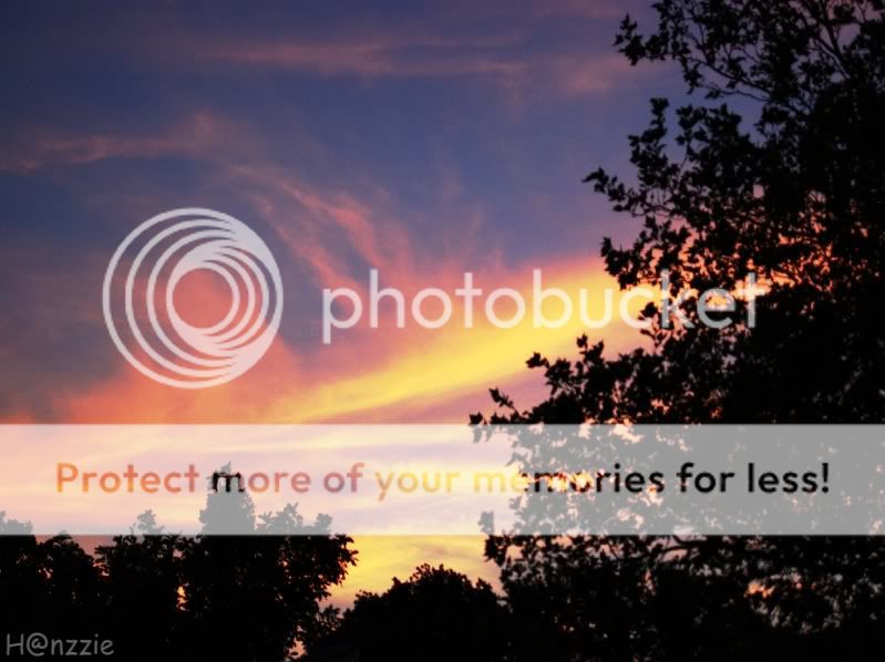Fotografie