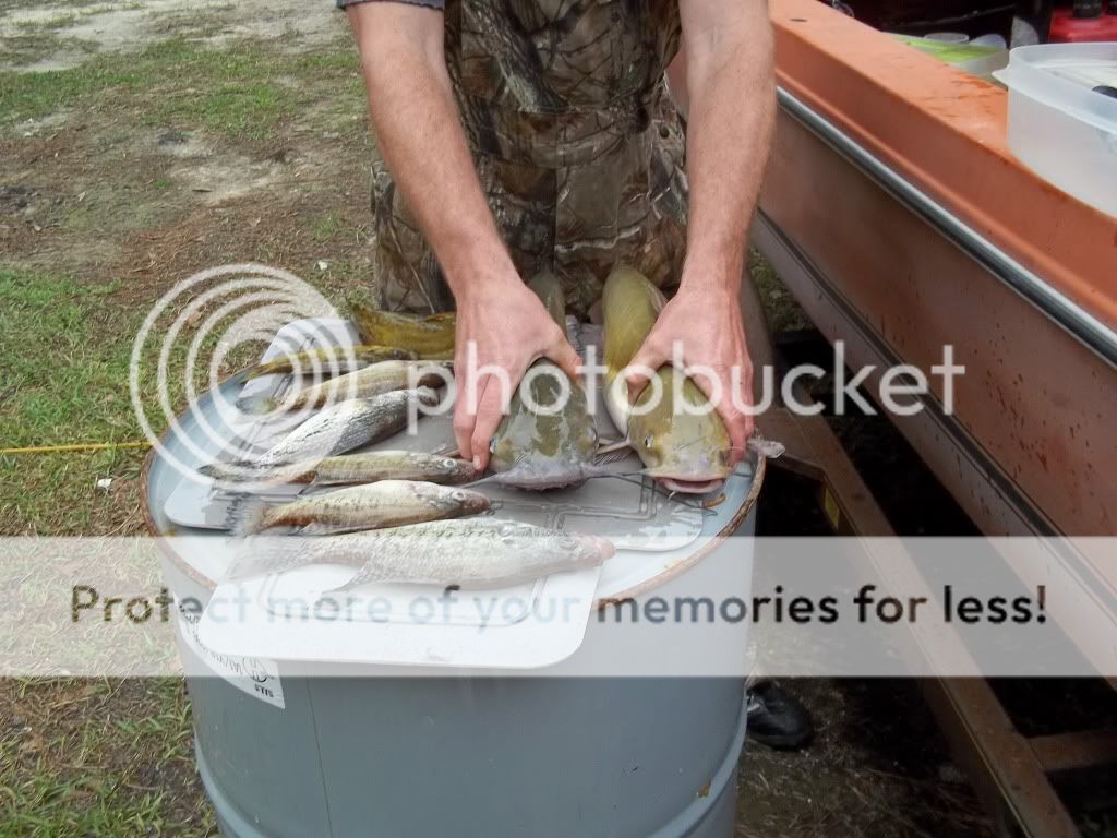 Gantt Lake 310/311 2012 Pensacola Fishing Forum