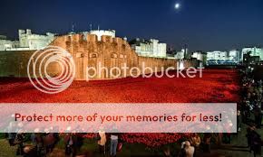 photo poppies.jpg