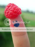  photo raspberry.jpg