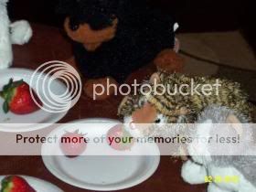  photo sdtiger_zps80188c78.jpg