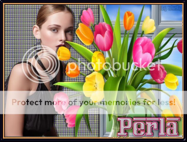 1_Black_Cat_PERLA.gif picture by MYALBUNPERLAS