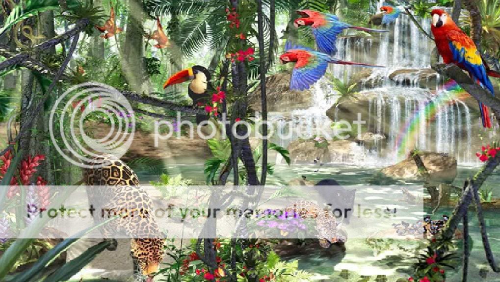 Jungle Scene Pictures, Images & Photos | Photobucket