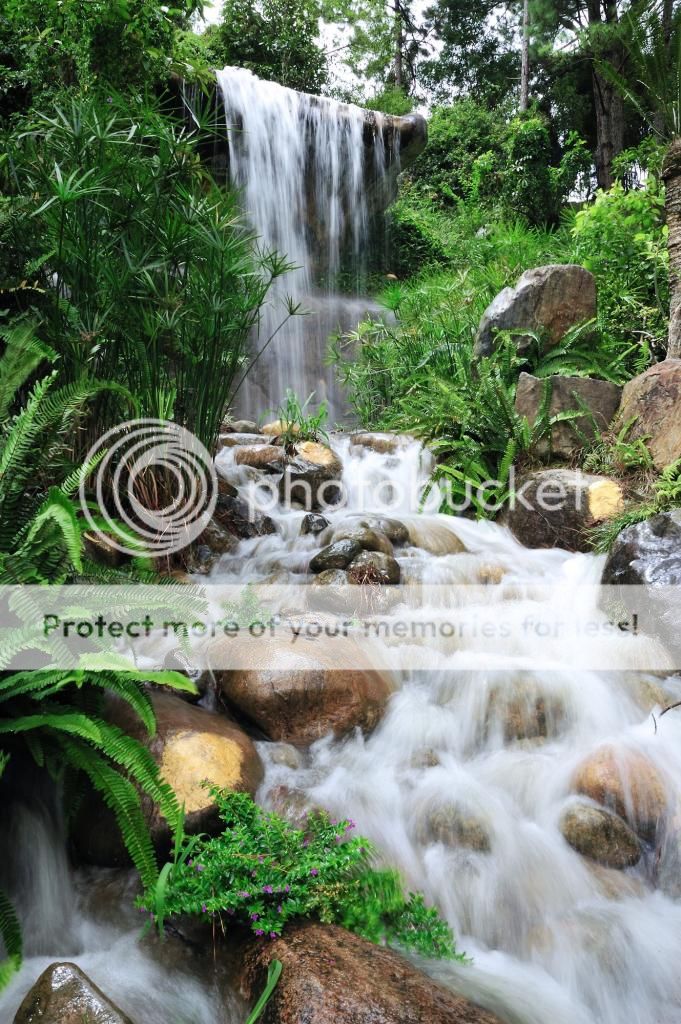 Đồi Mộng Mơ Đà Lạt Đồi Mộng Mơ Đà Lạt - Dalat News