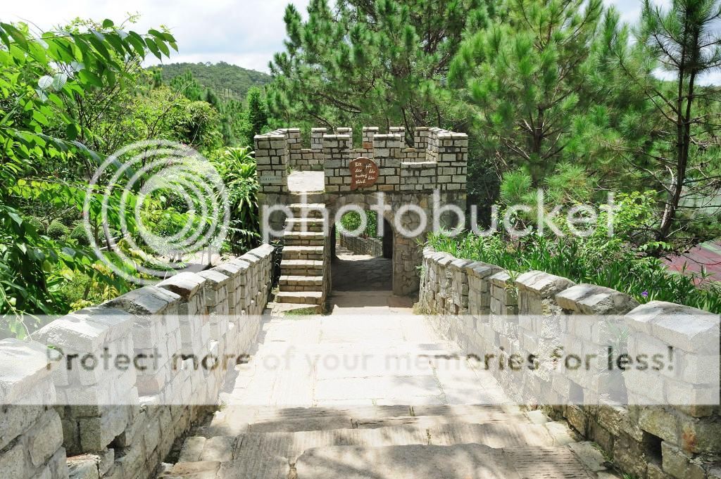 Đồi Mộng Mơ Đà Lạt Đồi Mộng Mơ Đà Lạt - Dalat News