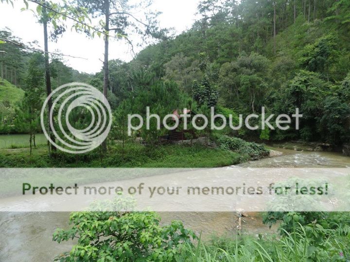 Ma Rừng Lữ Quán Đà Lạt Ma Rừng Lữ Quán Đà Lạt - Dalat News
