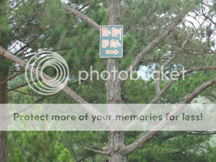 Ma Rừng Lữ Quán Đà Lạt Ma Rừng Lữ Quán Đà Lạt - Dalat News