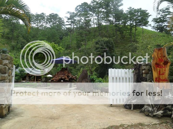 Ma Rừng Lữ Quán Đà Lạt Ma Rừng Lữ Quán Đà Lạt - Dalat News