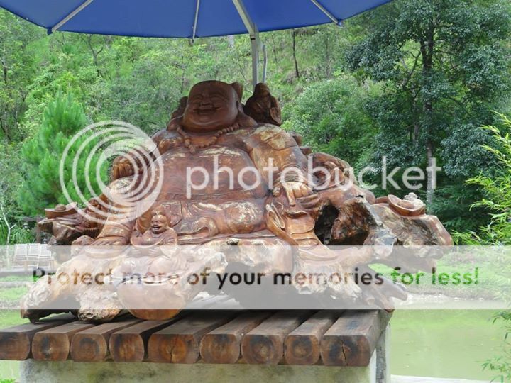 Ma Rừng Lữ Quán Đà Lạt Ma Rừng Lữ Quán Đà Lạt - Dalat News
