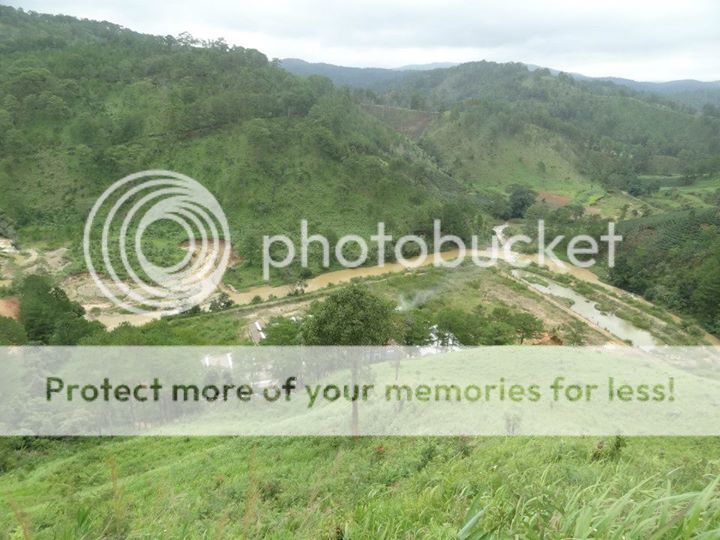 Ma Rừng Lữ Quán Đà Lạt Ma Rừng Lữ Quán Đà Lạt - Dalat News