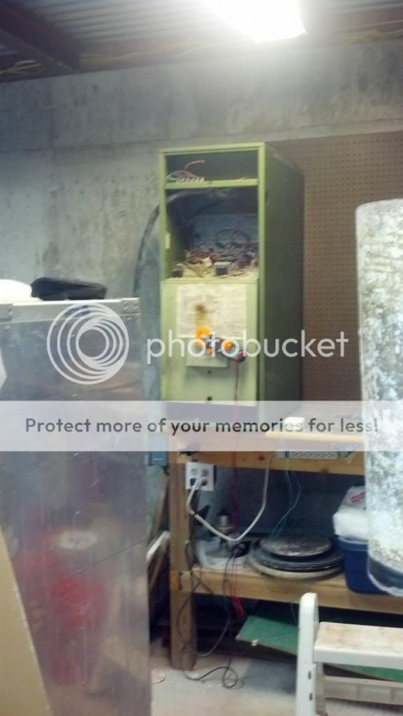 Posted Image