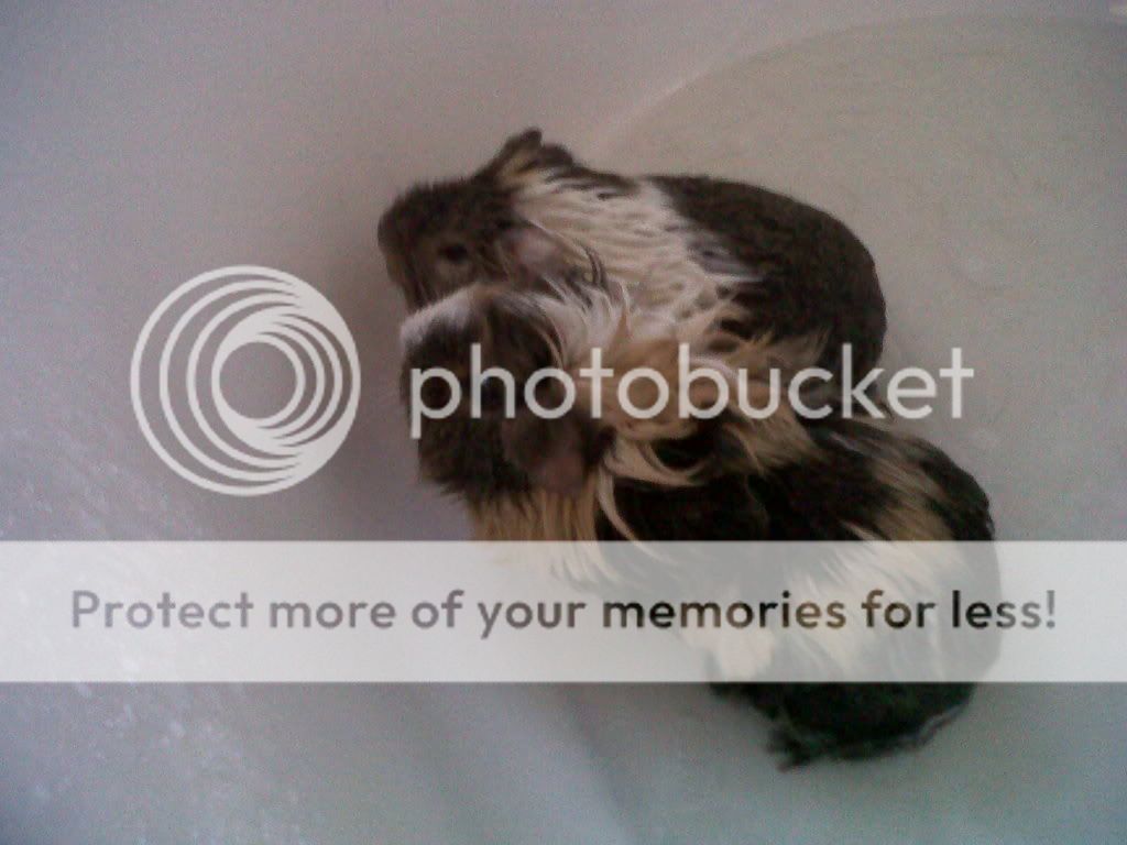 IMG00542-20111226-1541.jpg