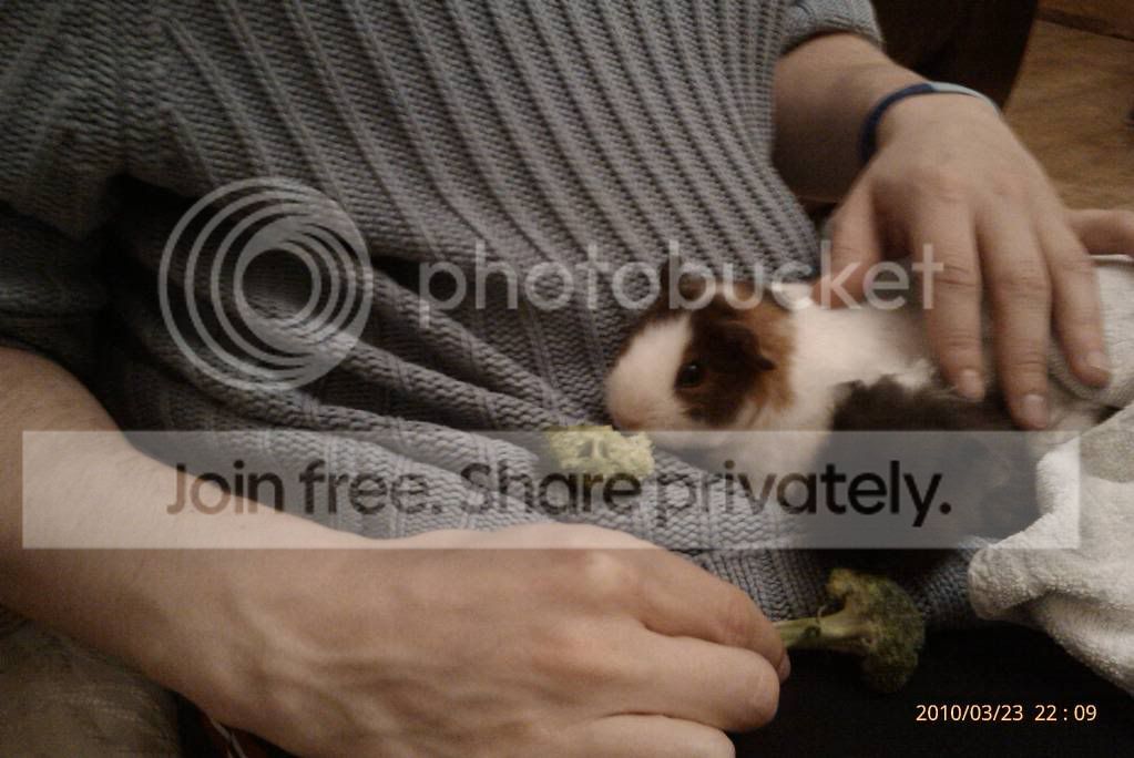 f9c7bfe3.jpg